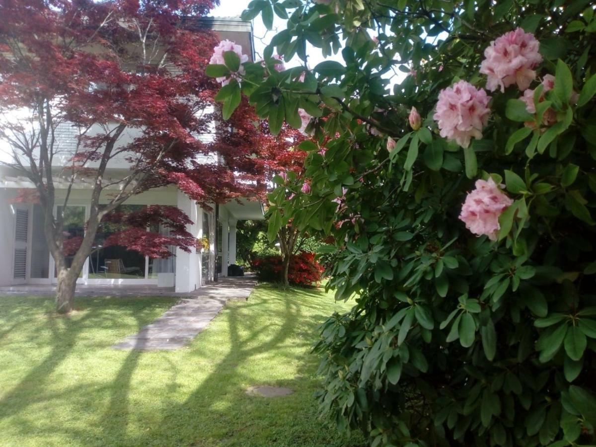 Villa Alice Lesa Exteriör bild